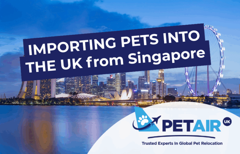 Importing pets to the UK from Singapore | PetAir UK