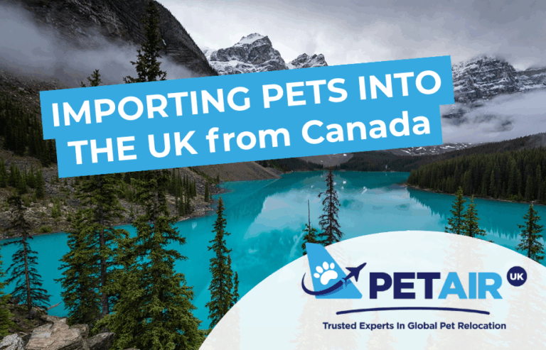 Importing pets into the UK from Canada | PetAir UK