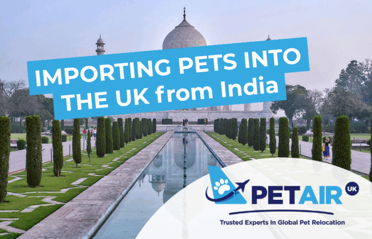 Importing pets into the UK from India | PetAir UK