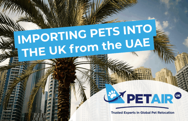 Importing pets to the UK from the UAE | PetAir UK