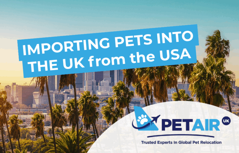 Importing pets to the UK from the USA | PetAir UK