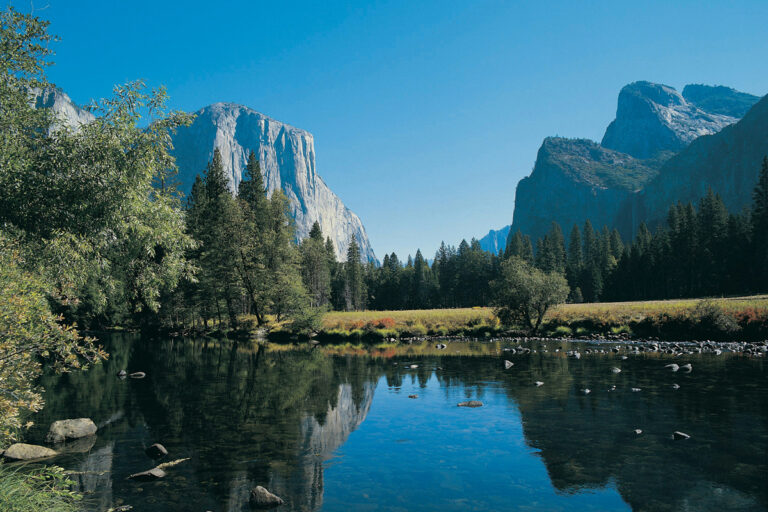 Taking pets to North America | PetAir UK