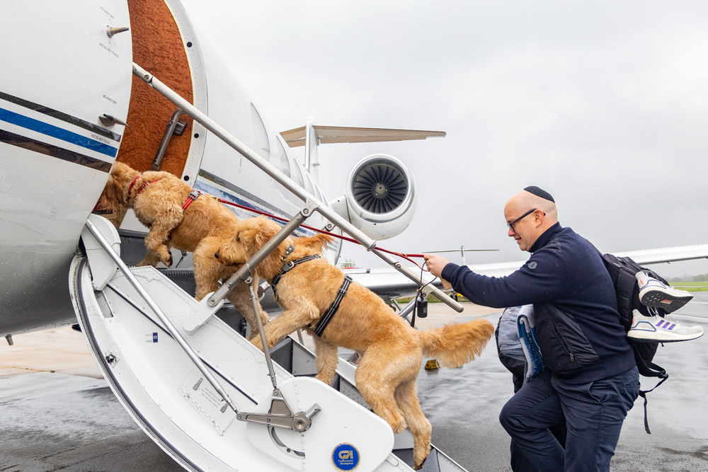 Private jet pet travel for-dogs | PetAir UK