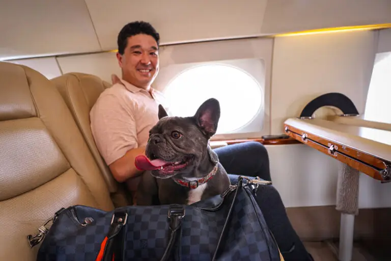 Private Jet Pet Travel | Travel Side-by-side with your pet in a private jet