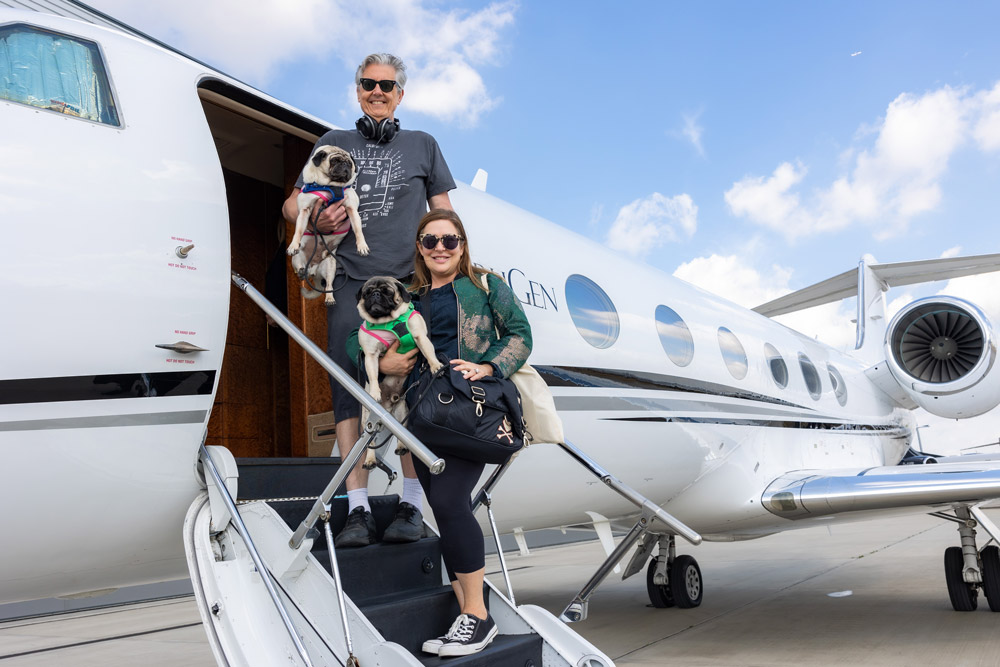 Private jet pet travel for-brachycephalic dogs | PetAir UK
