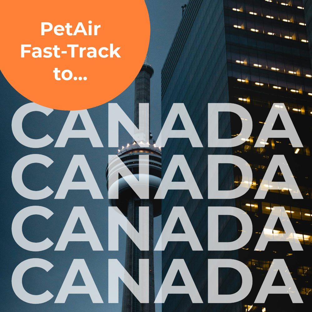 Fast Track to Canada | PetAir UK