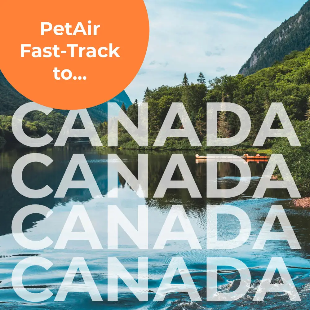 Fast Track to Canada | PetAir UK
