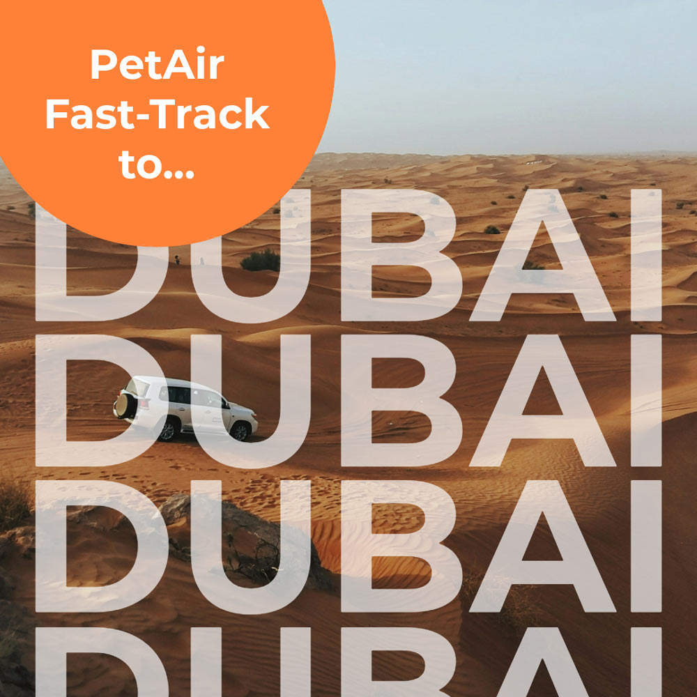 Fast Track to Dubai | PetAir UK