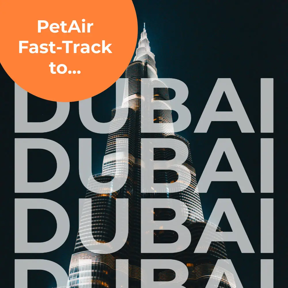 Fast Track to Dubai | PetAir UK