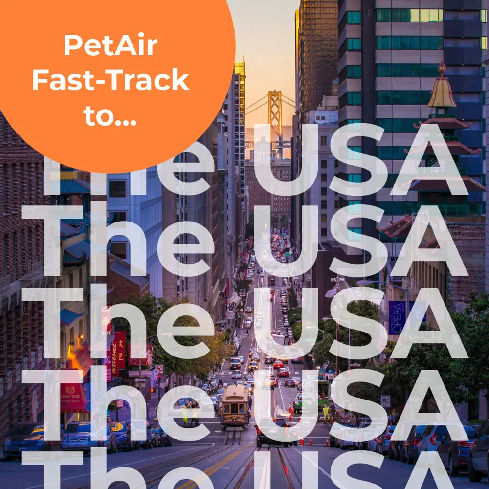 Fast Track to The USA | PetAir UK