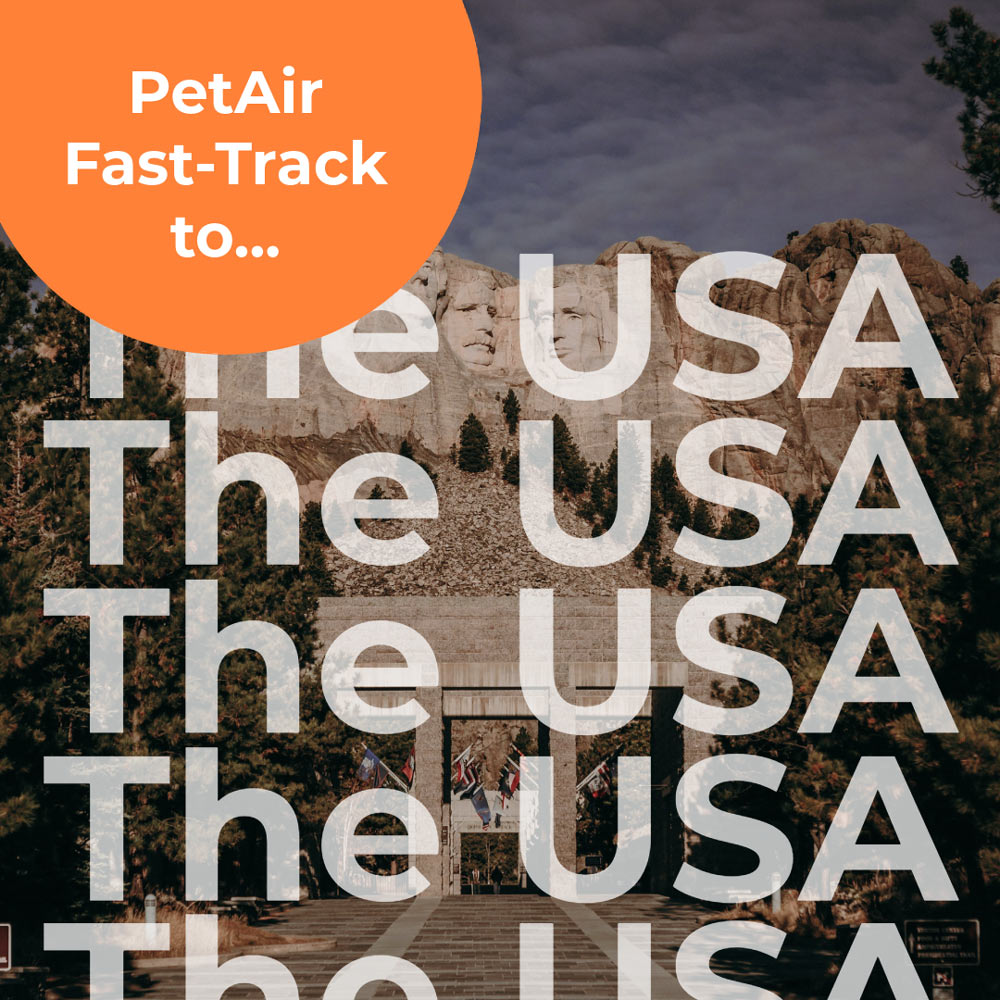 Fast Track to The USA | PetAir UK