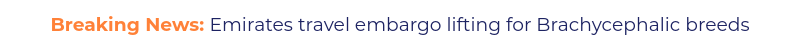 Breaking News: Emirates travel embargo lifting for Brachycephalic breeds