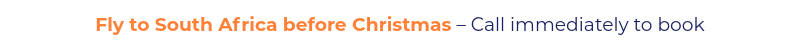 Fly to South Africa before Christmas – Call immediately to book