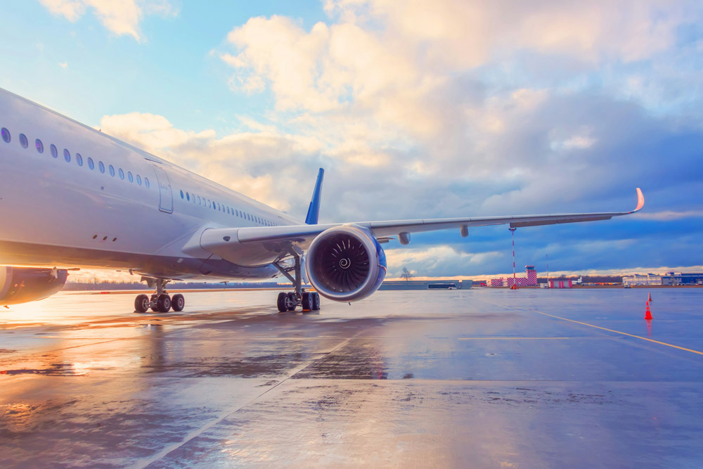 Which airlines carry pets out of the UK - 2025 guide | PetAir UK