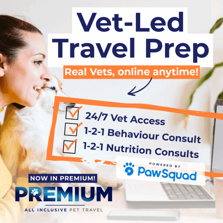Vet-Led Travel Prep Real Vets, online anytime! | Now in Premium Pet Travel | PetAir