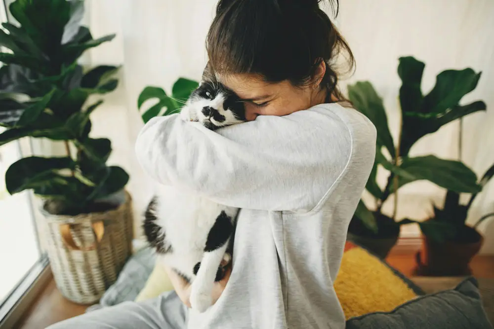 All you need to know about emotional support animals | PetAir UK