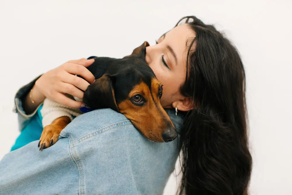 All you need to know about emotional support animals | PetAir UK