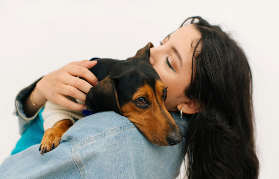 All you need to know about emotional support animals | PetAir UK