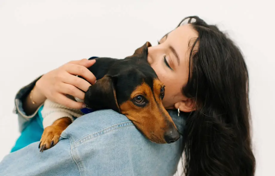 All you need to know about emotional support animals | PetAir UK