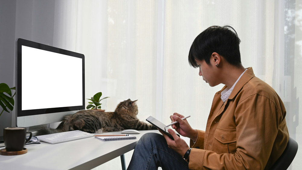 Do dogs or cats need a passport to travel internationally | PetAir UK
