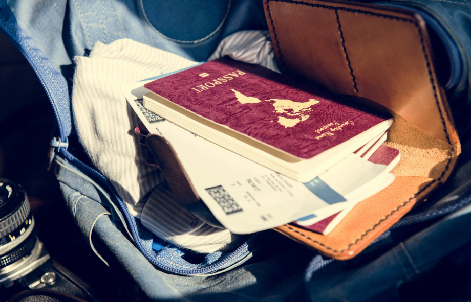 Do dogs or cats need a passport to travel internationally | PetAir UK