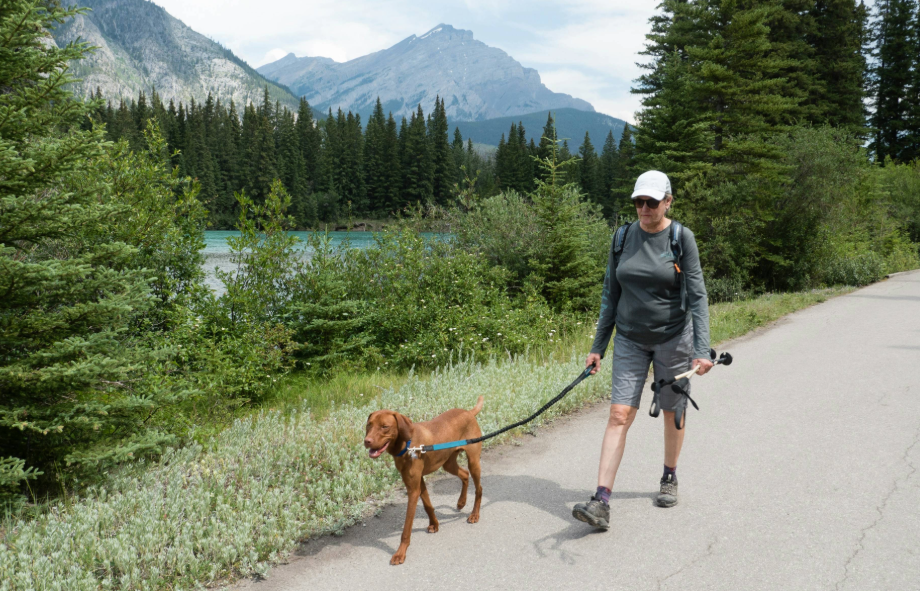 Best dog friendly hiking trails to explore in Banff, Canada - Tips from PetAir UK