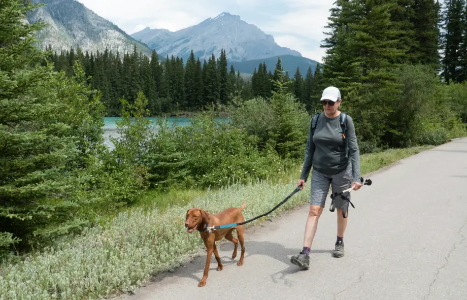 Best dog friendly hiking trails to explore in Banff, Canada - Tips from PetAir UK