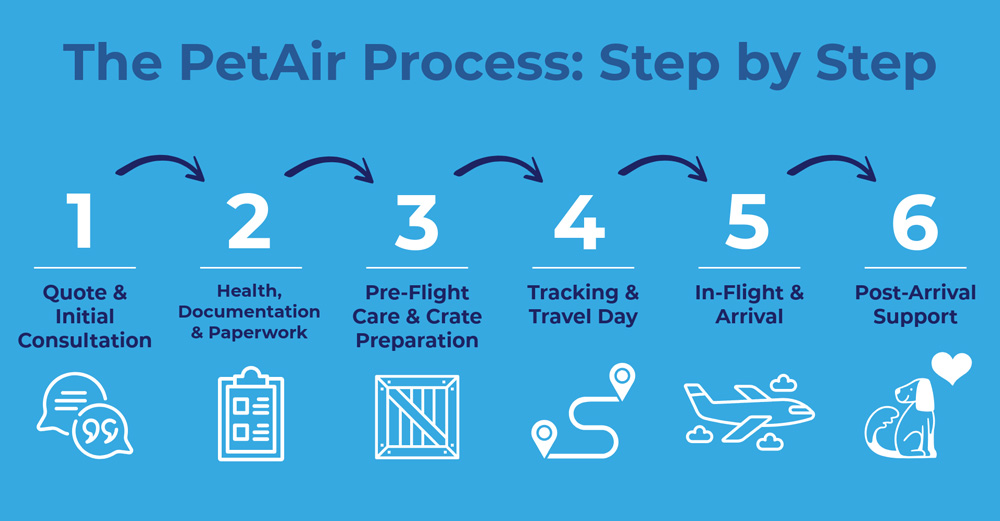 What to expect when flying your dog or cat internationally from the UK | PetAir UK