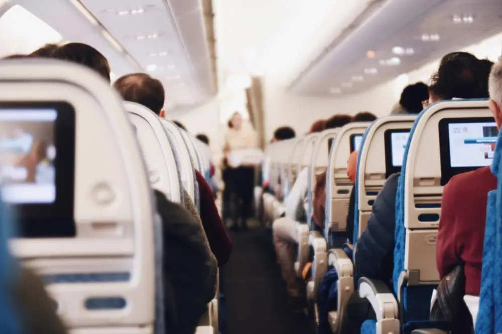 Can you fly with a service dog from the UK | PetAir