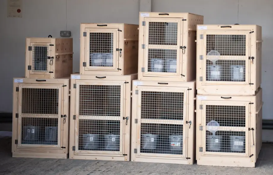 Pet travel crates for cates and dogs - supplied by PetAir UK
