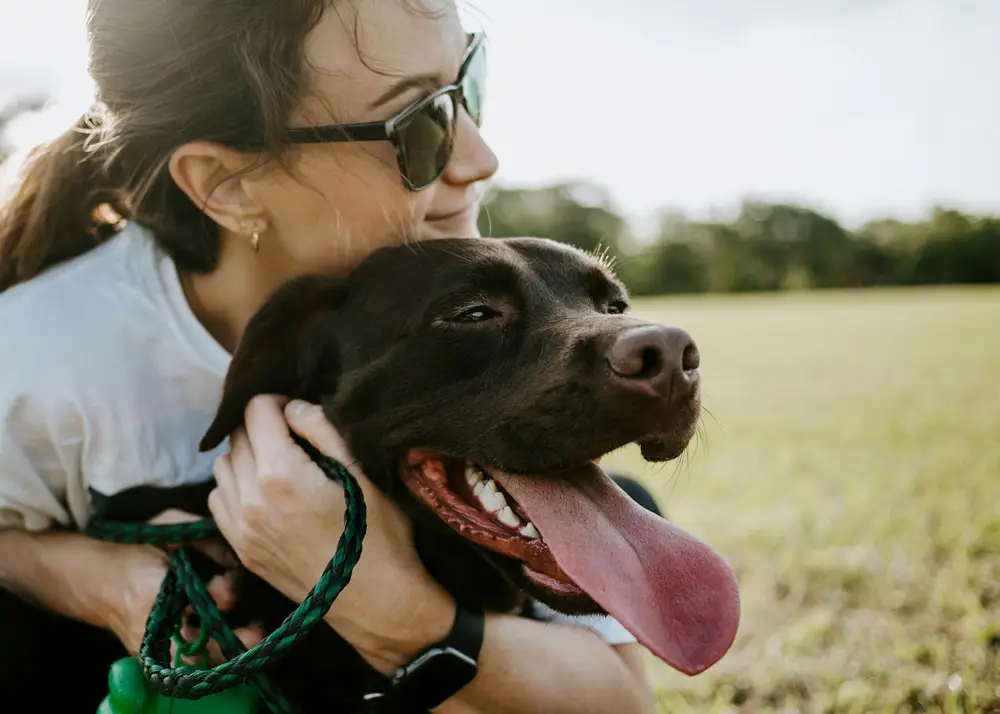 What to expect when flying your dog or cat internationally from the UK | PetAir UK