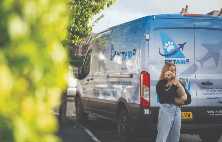 What to expect when flying your dog or cat internationally from the UK | PetAir UK