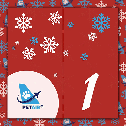 Advent Calendar door 1 | PetAir UK Christmas