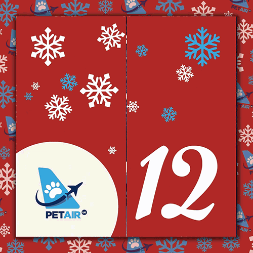 Advent Calendar door 12 | PetAir UK Christmas