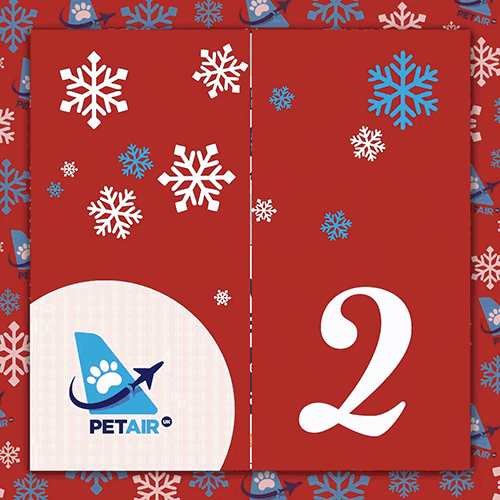 Advent Calendar door 2 | PetAir UK Christmas