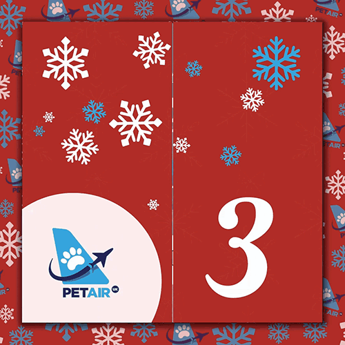 Advent Calendar door 3 | PetAir UK Christmas