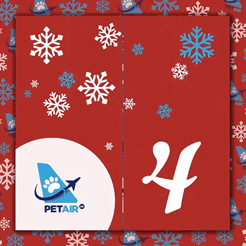 Advent Calendar door 4 | PetAir UK Christmas