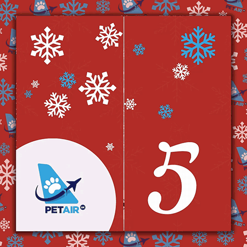 Advent Calendar door 5 | PetAir UK Christmas