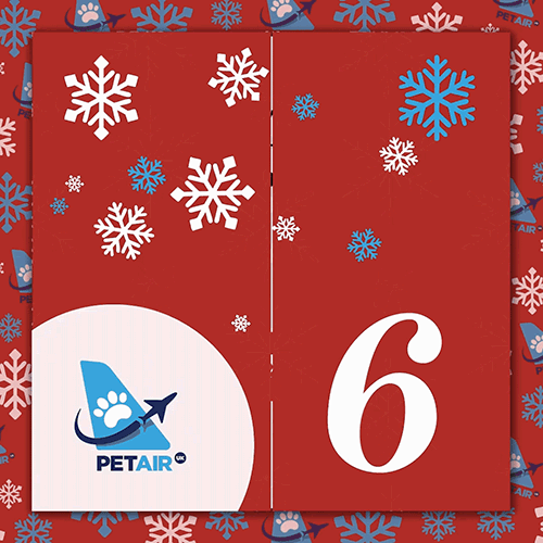 Advent Calendar door 6 | PetAir UK Christmas