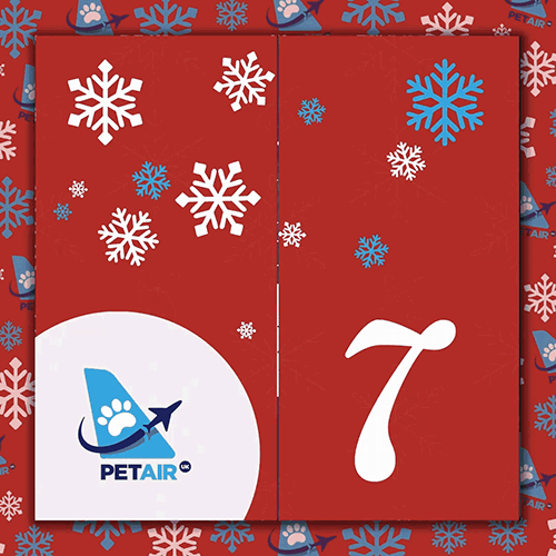 Advent Calendar door 7 | PetAir UK Christmas