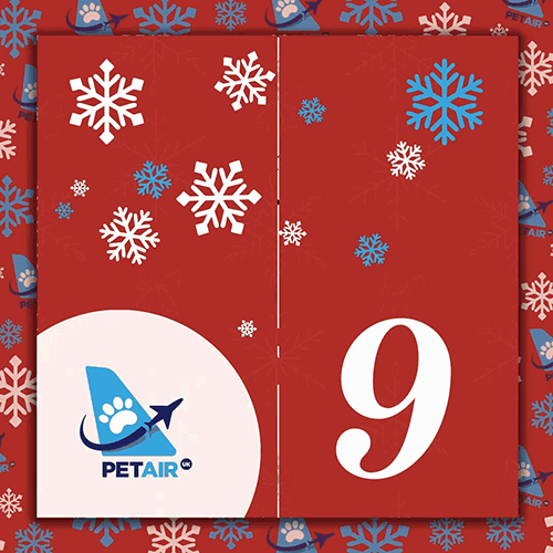 Advent Calendar door 9 | PetAir UK Christmas