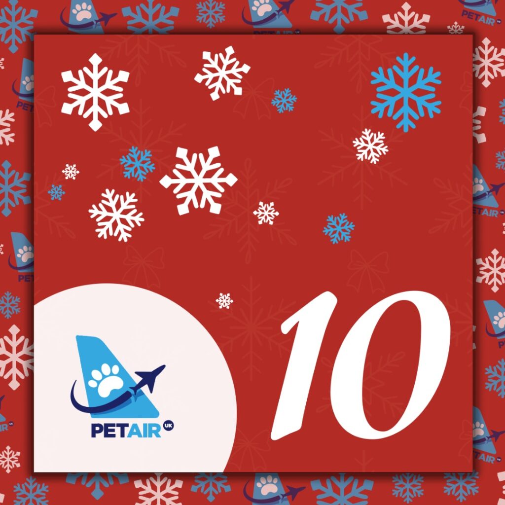 Advent Calendar door 10 | PetAir UK Christmas