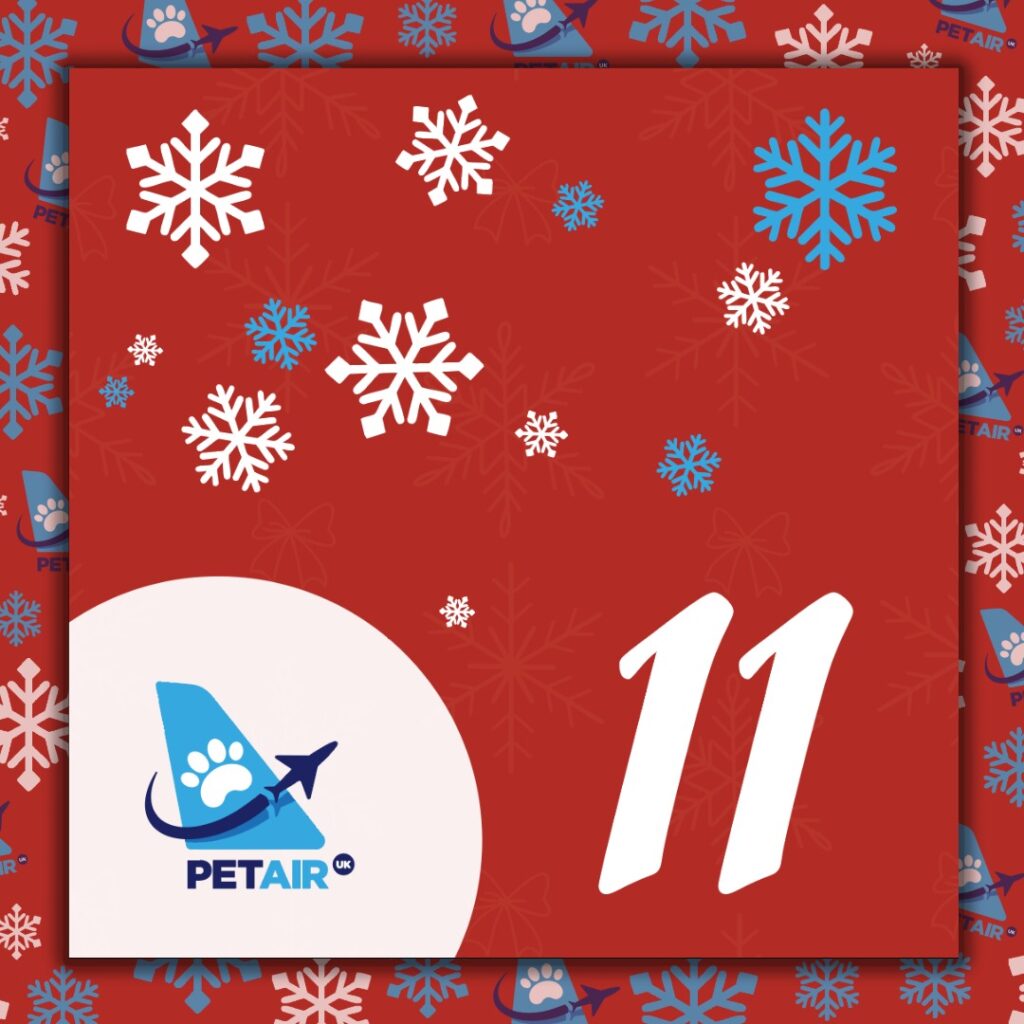Advent Calendar door 11 | PetAir UK Christmas