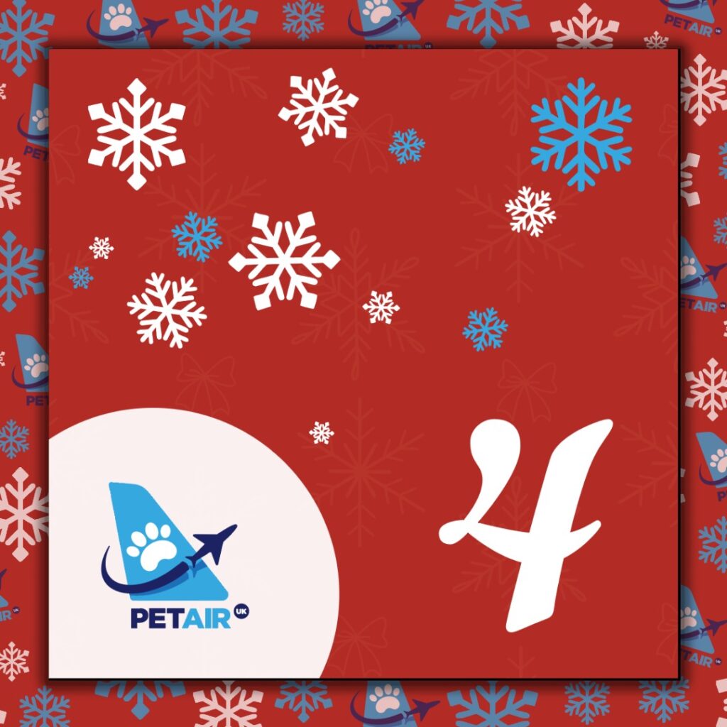 Advent Calendar door 4 | PetAir UK Christmas