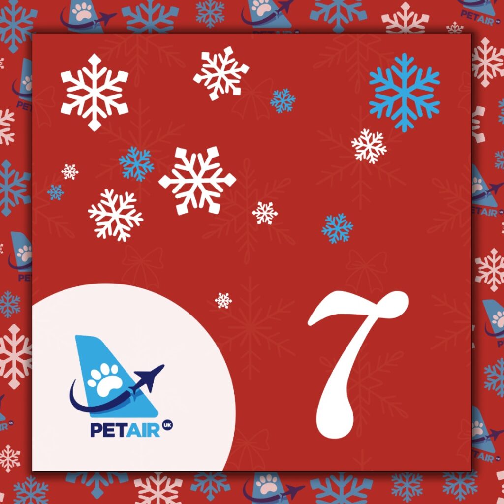 Advent Calendar door 7 | PetAir UK Christmas