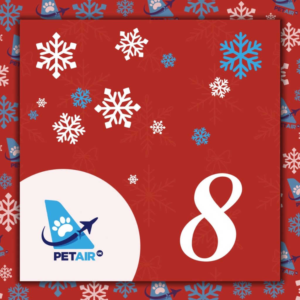 Advent Calendar door 8 | PetAir UK Christmas