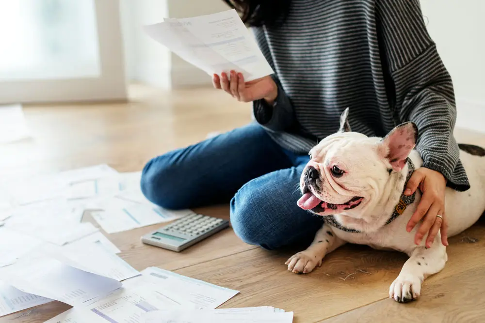 IPATA, IATA and DEFRA accreditations for pet travel | PetAir UK