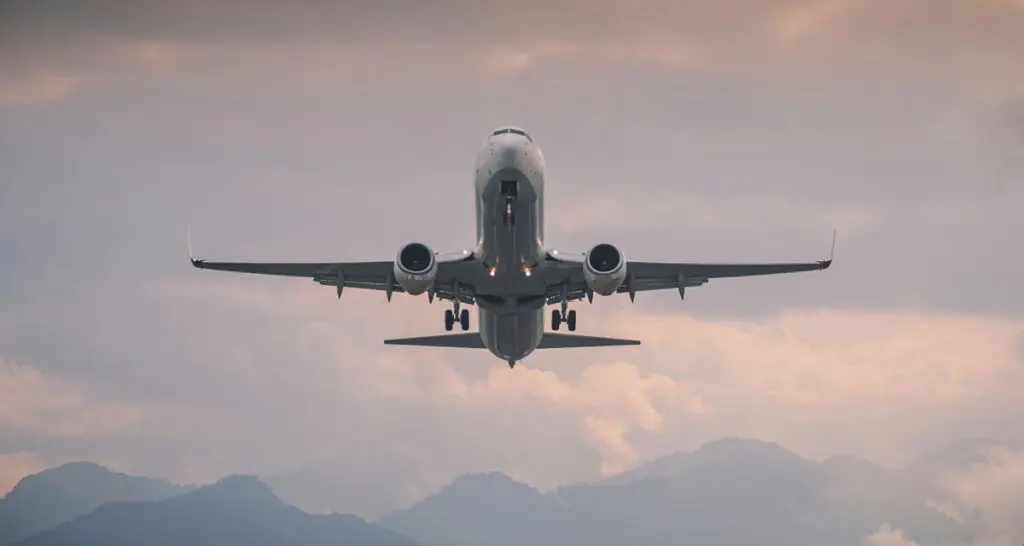 Road vs flying - pet travel to Europe | PetAir UK