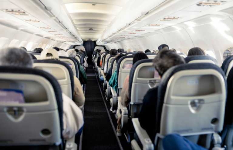 Where pets go in a plane - pet relocation | PetAir UK