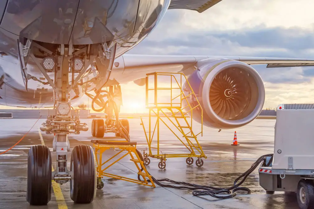 Where pets go on a plane | PetAir UK